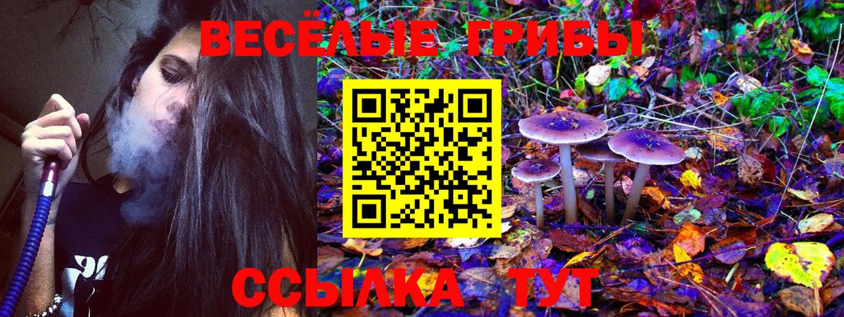Псилоцибиновые грибы мицелий Губаха